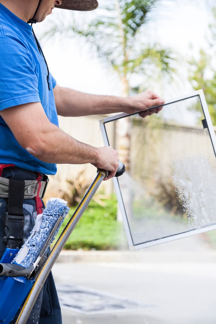 Window Screen Cleaning